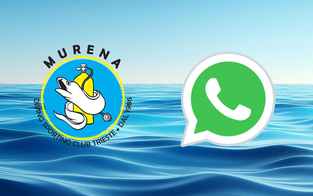 CommunityWhatsapp