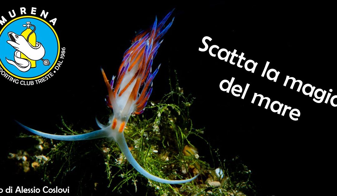 Scatta la magia del mare