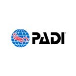 Padi